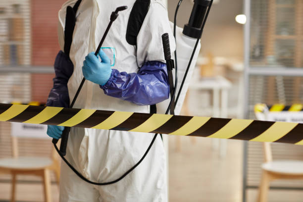 Professional Hoarding Cleanup technician working in Keene, CA
